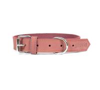 Collare per Cani Gloria Oasis Rosa [1,5 x 40 cm]
