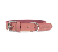 Collare per Cani Gloria Oasis Rosa [50 x 2,1 cm]