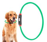 Collare per Cani Illuminato, Collare Luminoso per Cani di Taglia Media Collare per Cani a LED Collare per Cani Che Si Illumina Al Buio Collare a LED Ricaricabile Tramite USB per
