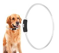 Collare per Cani Illuminato, Collare Luminoso per Cani di Taglia Media Collare per Cani a LED Collare per Cani Che Si Illumina Al Buio Collare a LED Ricaricabile Tramite USB per