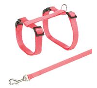 Collare per gatti con guinzaglio 27-45 cm/10 mm diversi