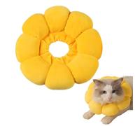 Collare Per Gatti E Cani, Animali Domestici Anti Morso Collare Per Cani E Gatti Dopo L'Intervento