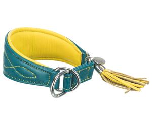 Collare per Greyhound Active Comfort con fermo di trazione 24-31 cm/50 mm petrolio/giallo