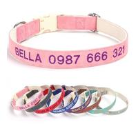 Collare Personalizzato for Animali Domestici - Robusto Nastro in Nylon + Ricamo - Scegli Il Colore, Fibbia di Sicurezza, Fodera Morbida(B,XL)