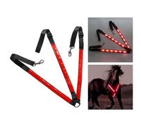Collare pettorale per cavallo a LED, funzionamento a batteria, equipaggiamento