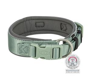 Collare premium, extra largo 27-35 cm/25 mm salvia/grigio