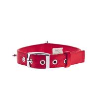 Collare regolabile con borchie in nylon special per cani Ferribiella