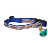 Collare Regolabile Per Bassotto Medio 10-16" Blu