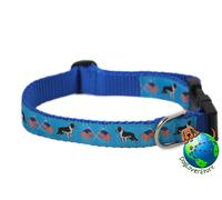 Collare Regolabile Per Boston Terrier Medio 10-16" Blu