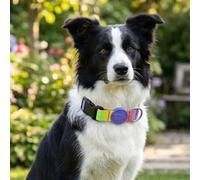 Collare regolabile per cani in raso Intense Spring Blossom Morso Taglia L 43-70 cm - 1° ORDINE? scegli lo sconto BZR5 / BZR20 + 200 punti fedeltà