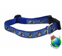Collare Regolabile Per Shih Tzu Medio 10-16" Blu