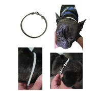 Collare strass elegante 5mm circa lungo 25 cm o altra misura per Cani, gatti ETC