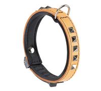 Ferplast Collare per Cani GIOTTO LUXOR C20/34, in Vera Pelle con Borchie Argentate