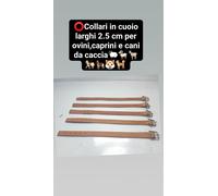 Collari in cuoio da 2,5 cm larghi per ovini,caprini e cani da caccia.