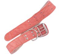 Collari Per Cuccioli Collare Animali Domestici Il Collo Del Cane Cani