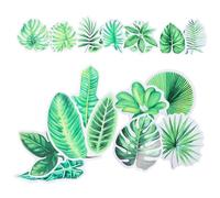 COLLBATH 16 Pezzi Magneti da Frigorifero Foglie Verdi in Decorazioni Tropicali per Cucina con Forte Magnetismo Riutilizzabili e Protettivi per Superfici