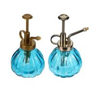 COLLBATH Set 2 Pezzi Flaconi Spray in Vetro Trasparente Vintage Bottiglie per Annaffiatura di Piante Piccole Spruzzatore Dorato e Bronzo per Giardino Piante Grasse e Uso Domestico