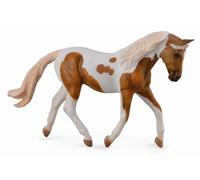 CollecA Puledro Palomino