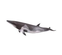Collecta Figura Balena Minke Xl