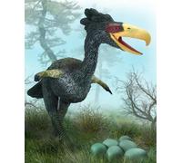 CollectA 88465 Kelenken Model Deluxe Uccello del terrore - uccello preistorico