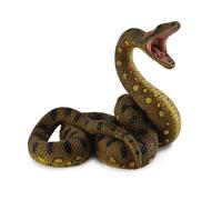 Anaconda di grandi dimensioni