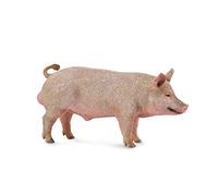 Colleziona una figura di maiale realistica con replica di animali media per bamb