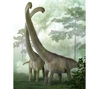 CollectA 88908 2020 Mamenchisaurus model Deluxe 1:100 Scale dinosauro sauropode