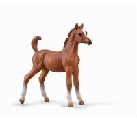 COLLECTA Arabo Colosso - 1:20