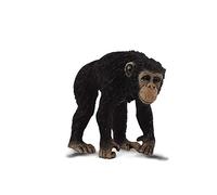 CollezionaUna figura d'azione realistica di scimpanzé con replica animale, età m