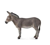 Collezione da collezioneUna action figure di African Wild Ass di grandi dimensio