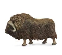 Raccogli una figura realistica di bue muschiato con replica animale grande, dai