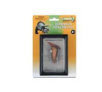 CollectUn cofanetto da collezione con dente di Spinosaurus per bambini dai 3 ann