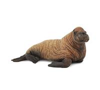 CollectA Figura realistica di vitello di tricheco con replica animale, età media