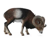 Collecta Figura Di Muflone Europeo