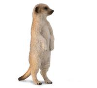 Collecta Figura Di Suricata