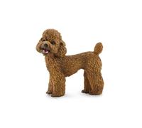 CollectA Figura realistica di barboncino con replica animale, età media da 3 ann