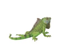 CollectA Figura realistica di iguana con replica animale extra large, dai 3 anni