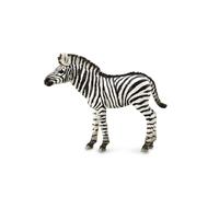 CollectA Figura realistica di puledro zebrato con replica animale, età media da