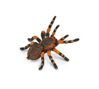 CollectA Figura realistica di tarantola al ginocchio rosso con replica animale g