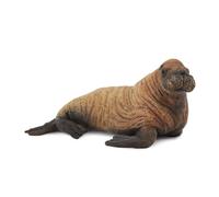 CollectA Figura realistica di vitello di tricheco con replica animale, età media