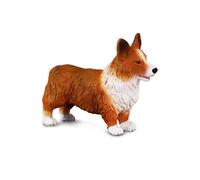 CollectA Figura realistica di Welsh Corgi con replica animale, di età media da 3