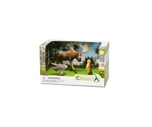 Collecta Figura Wild Life Forest 3 Pezzi In Scatola Aperta