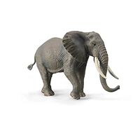 Collezione Slon Africano
