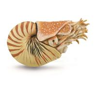 Collecta Nautilus Pompilius