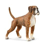 Collecta Pies Boxer