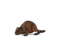 CollectA Realistic Animal Replica Beaver Figure Medium Ages 3 Years and Up