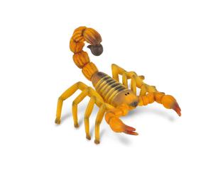 CollectA Realistic Animal Replica Fat Tailed Scorpion Figure Medium Ages 3+
