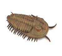 CollezionaUna replica animale realistica Redlichia Rex Trilobite Figure Large Et