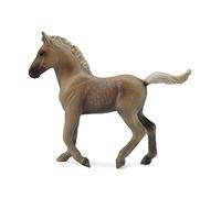 CollectA Rocky Mountain Foal - Cioccolato