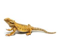 COLLECTA - Un Drago Barbuto Lucertola Figura Giocattolo Autentico Modello Dipinto A Mano
